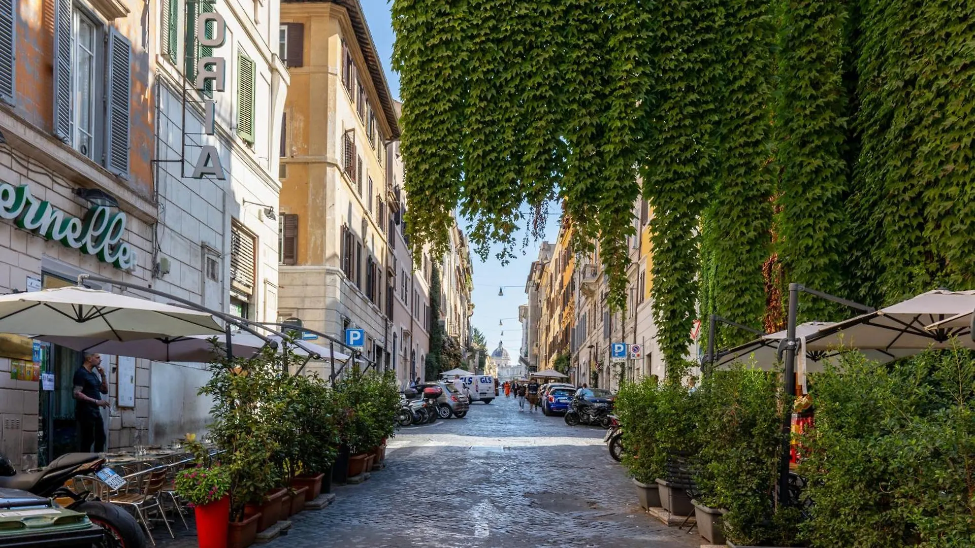 Domus 15 - Guest House Rome
